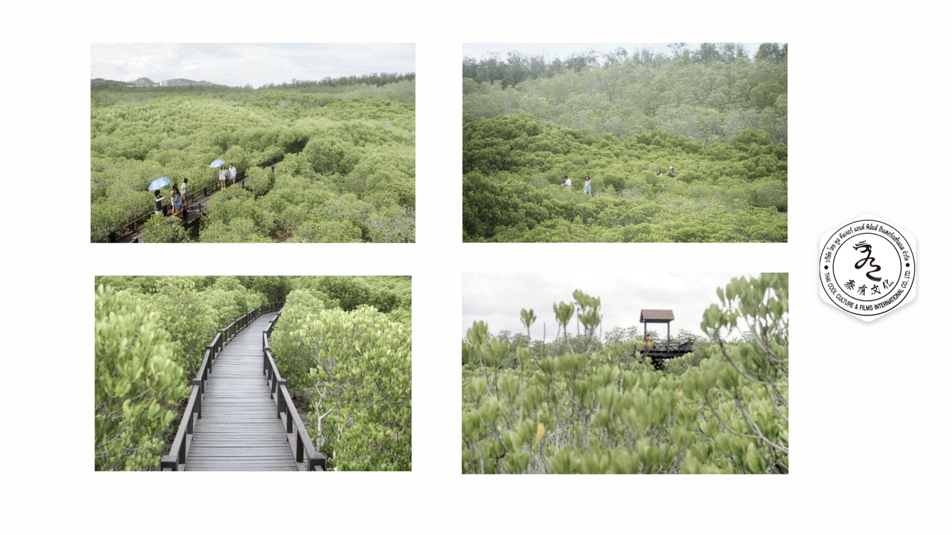 泰国场景推荐- 山川、丛林、山野、湖泊、瀑布、海边等 有水印.012.jpeg