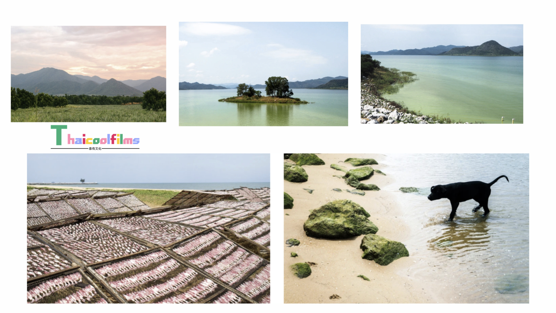 泰国场景推荐- 山川、丛林、山野、湖泊、瀑布、海边等 有水印.011.jpeg