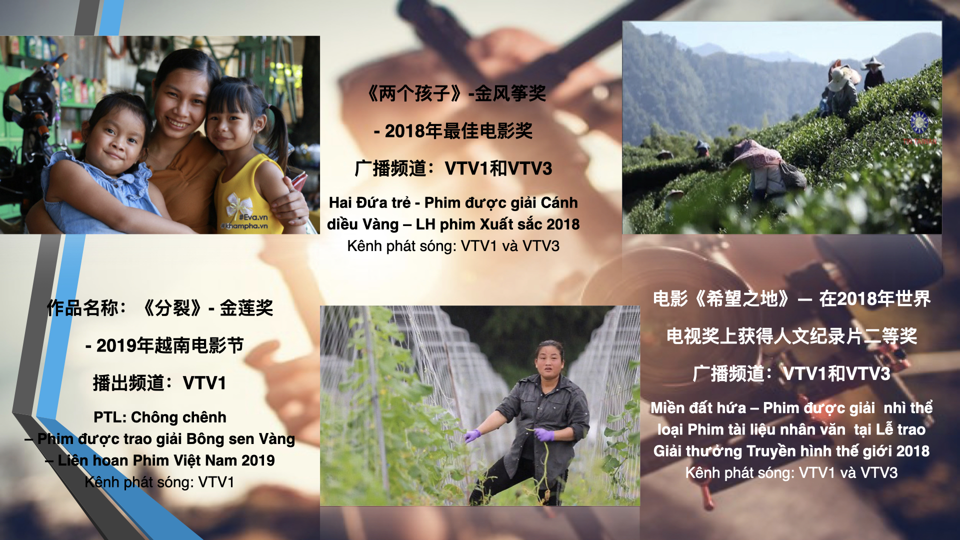 Le MInh profile 越南制作公司介绍.008.jpeg