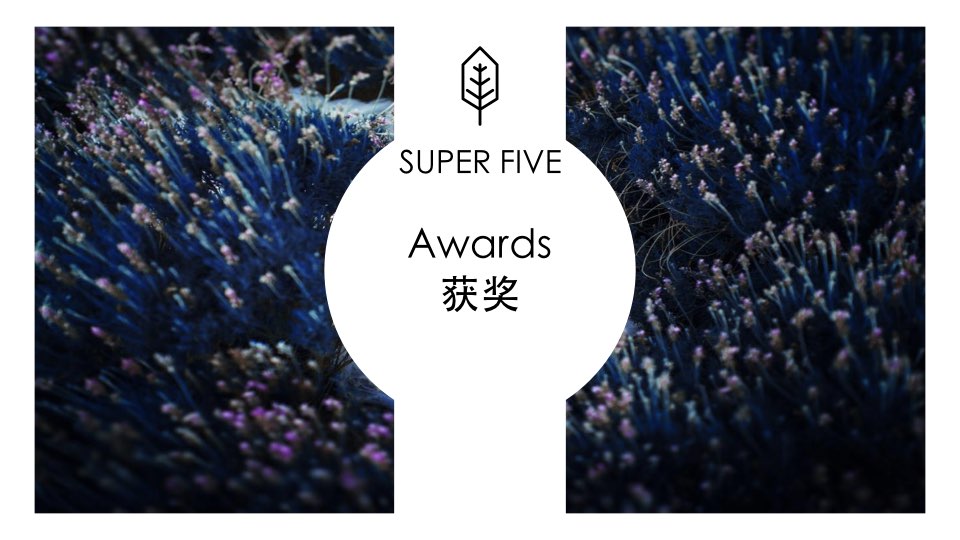 Superone.050.jpeg