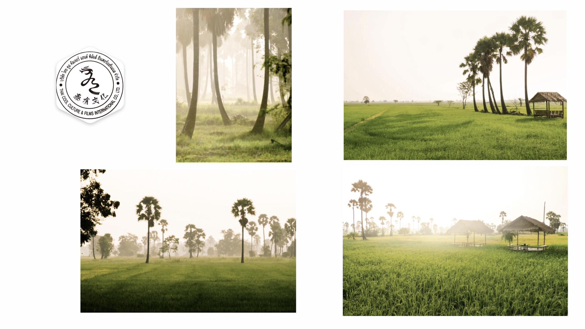 泰国场景推荐- 山川、丛林、山野、湖泊、瀑布、海边等 有水印.015.jpeg