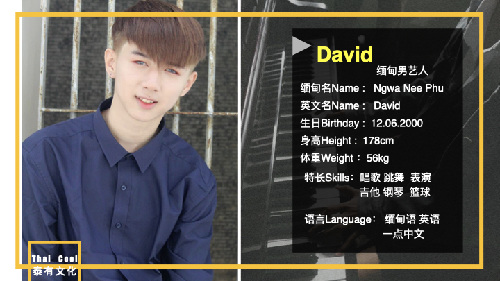 David Myanmar profile .002.jpeg